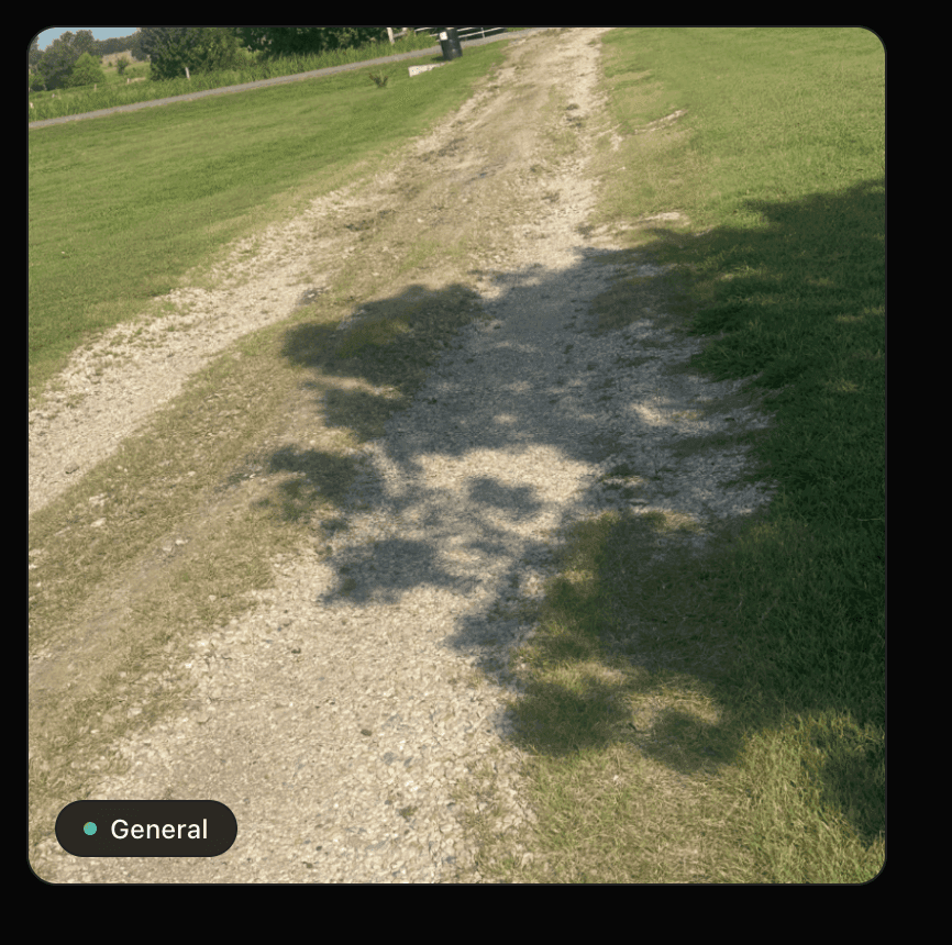 Driveway and access path before gravel installation and site improvement