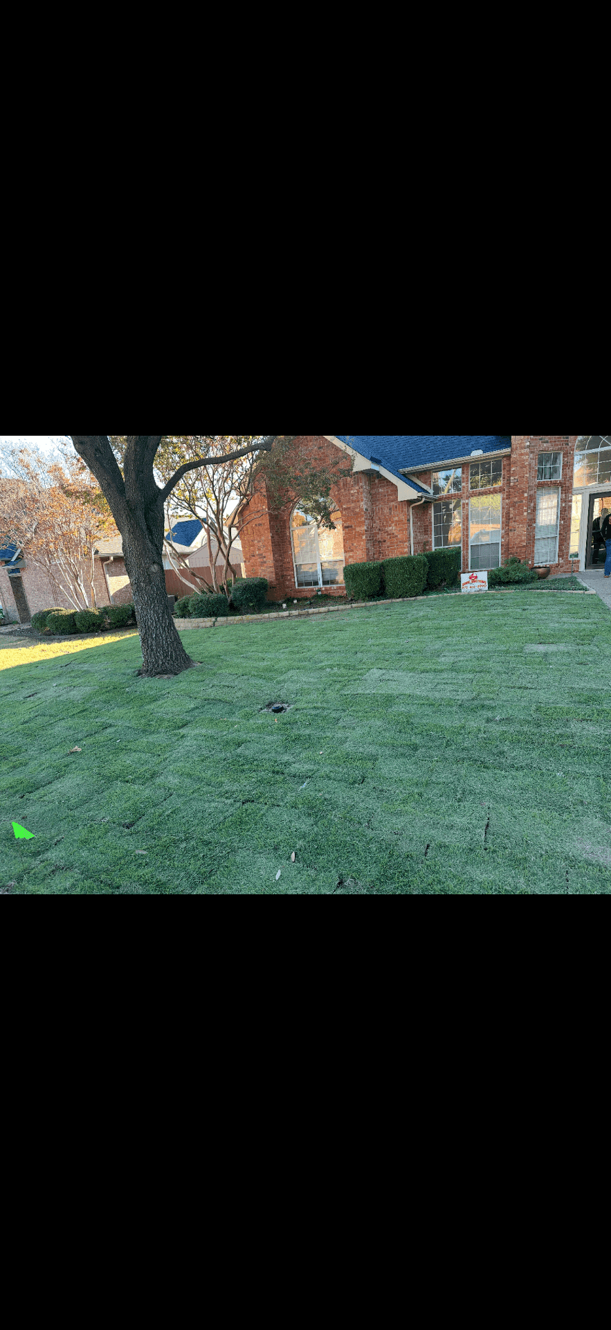 Fresh front yard sod installation completed for a residential DFW property