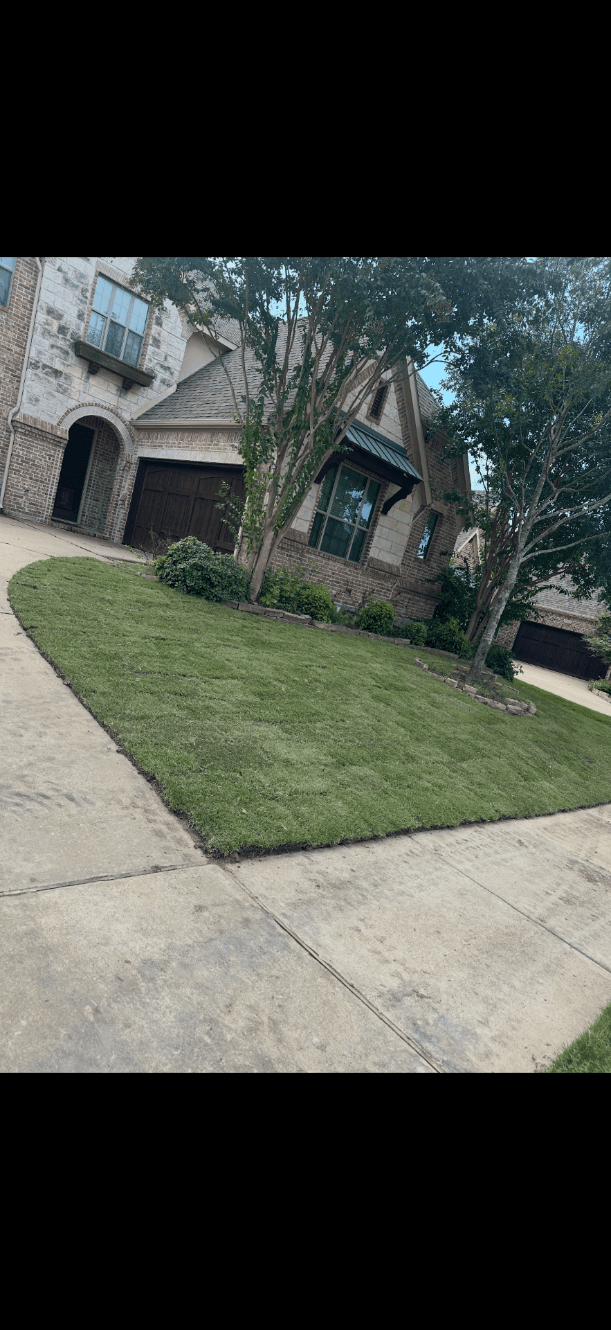 New sod installation along a driveway edge for a larger outdoor project